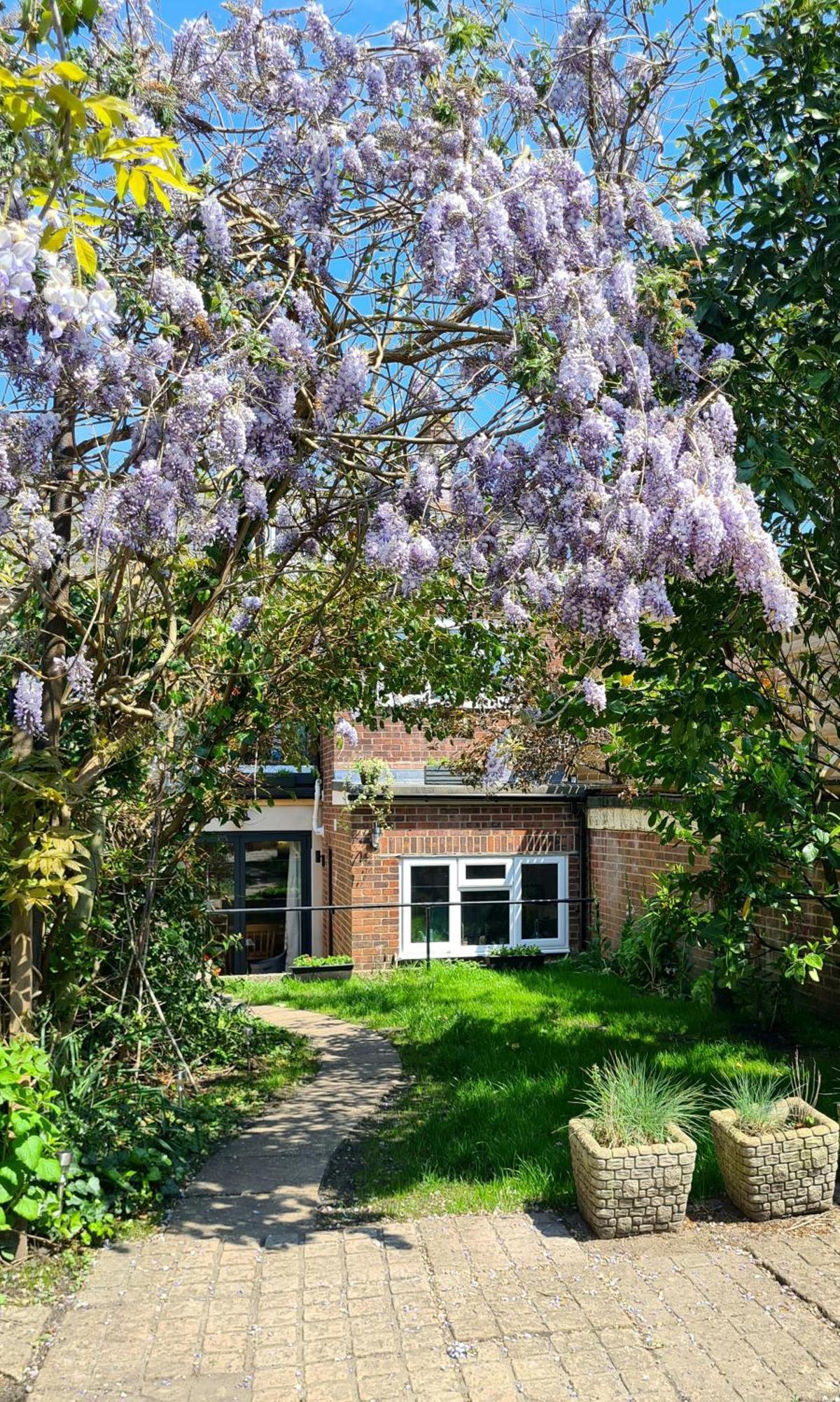 The Hideaway - Luxury Townhouse Villa Wareham Exterior foto